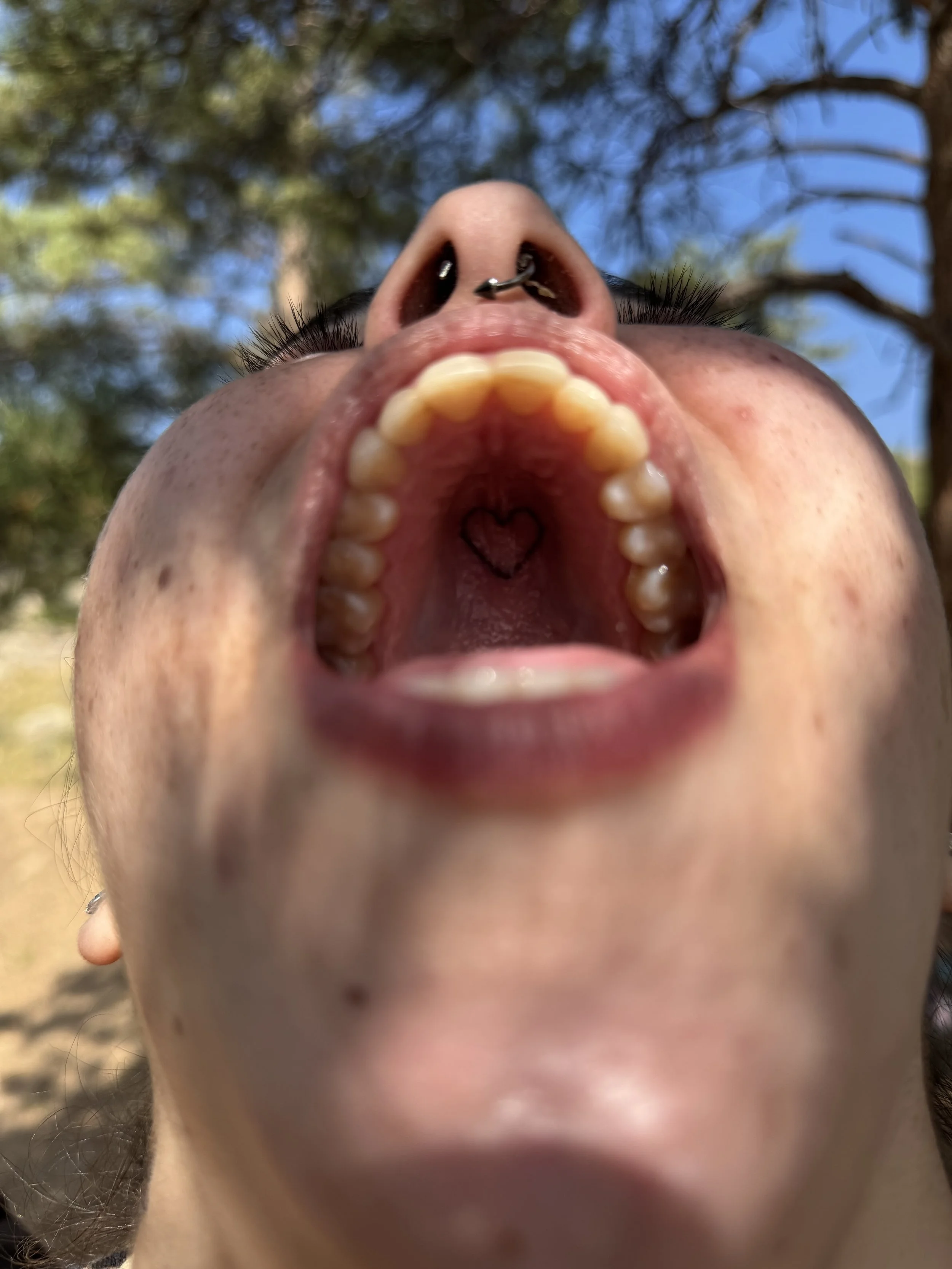 IMG_7183.jpeg