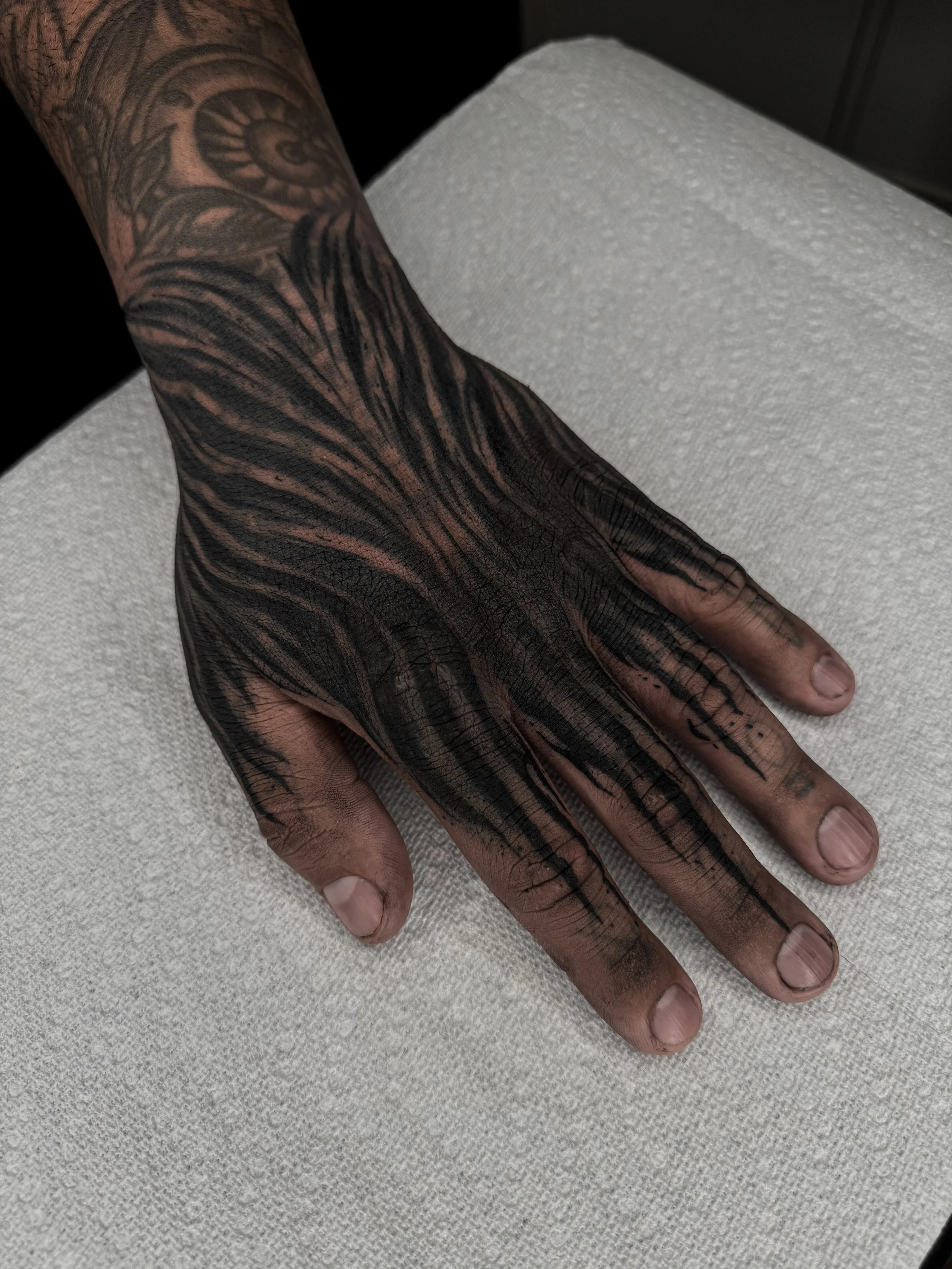 IMG_8151.jpeg