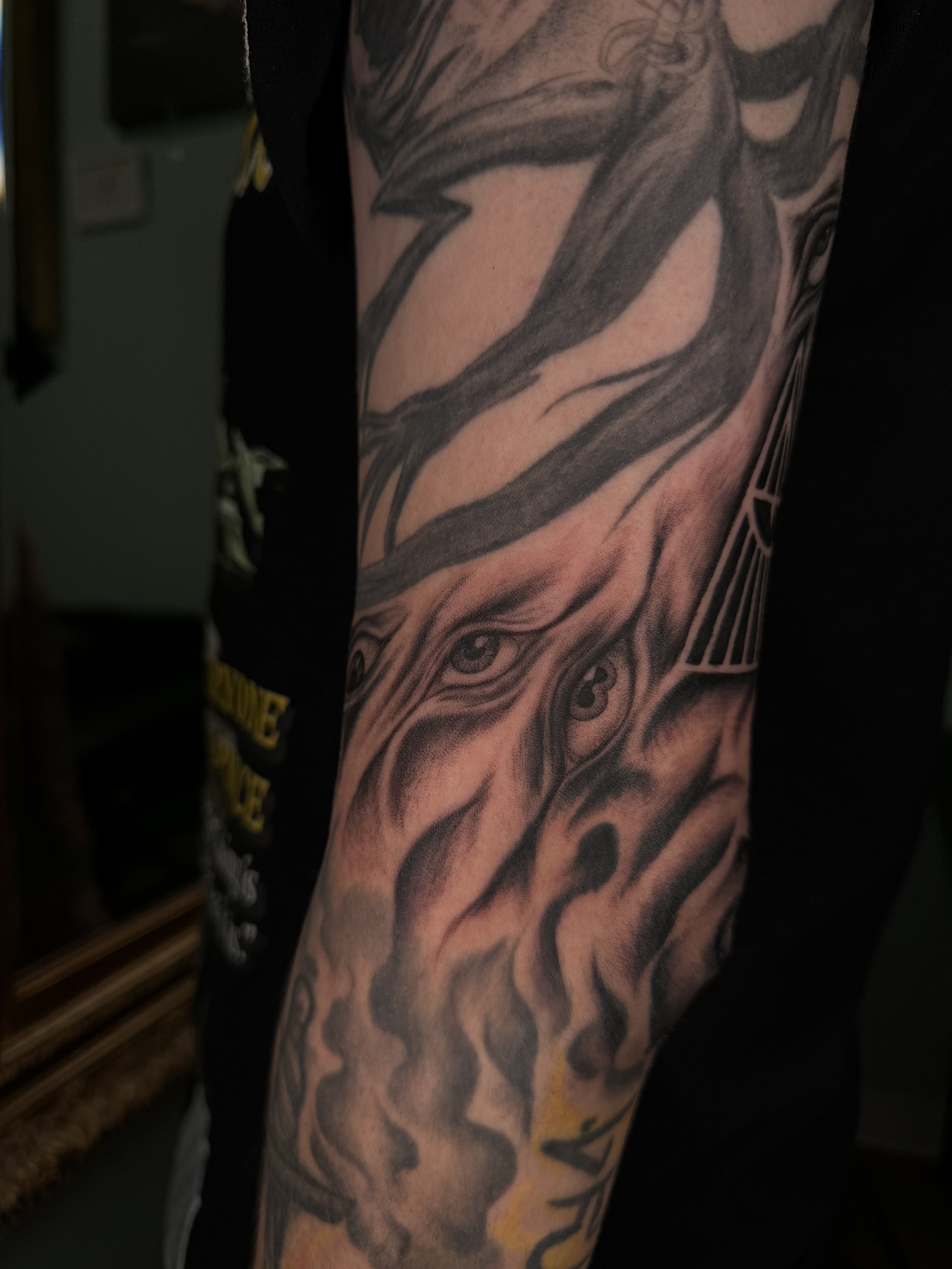 2025 freehand eyeballs