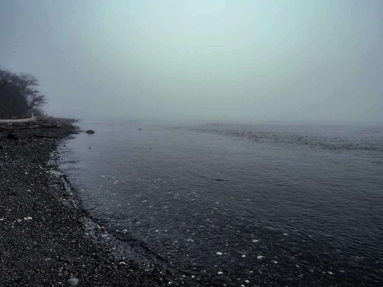 LR-DSCF1872.jpg