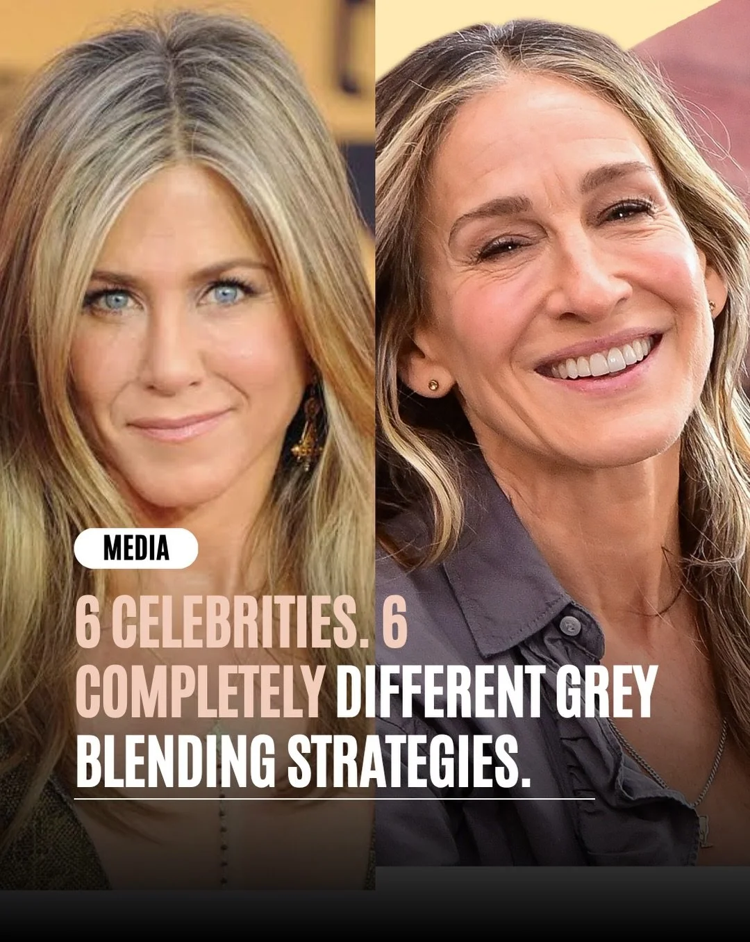 If grey blending was just highlights&hellip; all of these women would have the same hair.

Yet every single one looks completely different.

Because grey blending was never about the technique.

It&rsquo;s about the strategy.

That angle ties directl