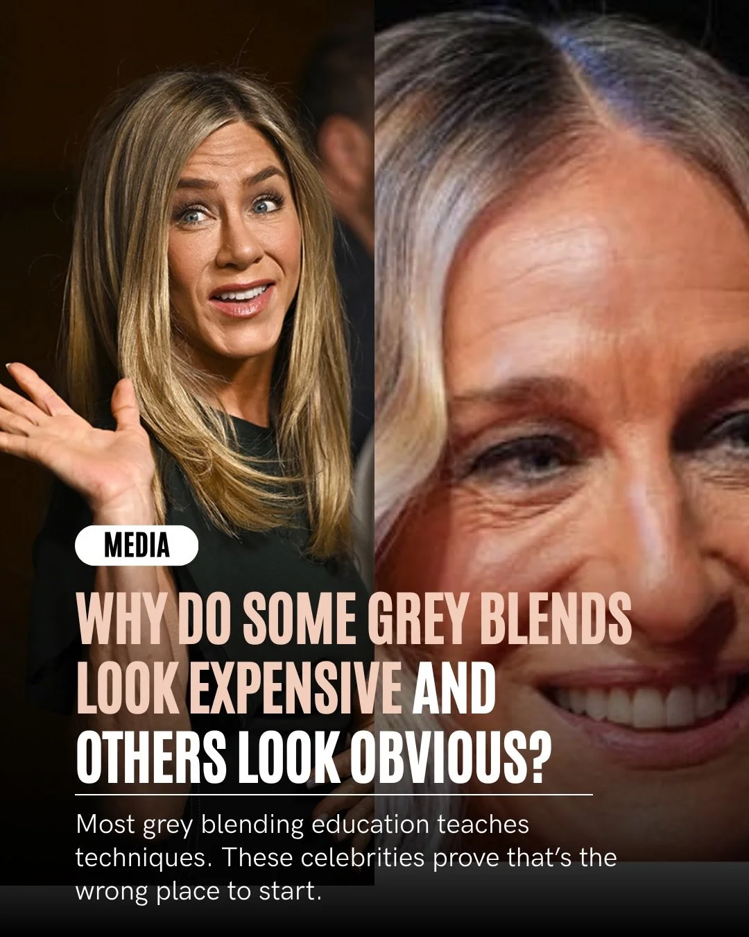 Last time I did one of these celebrity grey blending breakdowns, my DMs went wild.

Seriously.

So many of you messaged me saying:

&ldquo;Can you do more of these?&rdquo;

So here we go again.

Because the biggest mistake I see hairdressers make is 