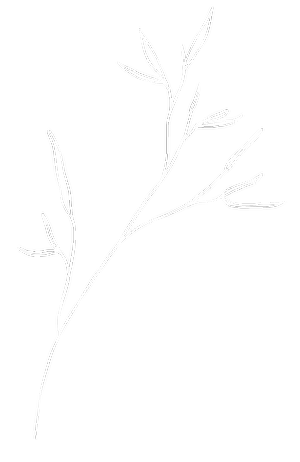 Courtney Elizabeth Media