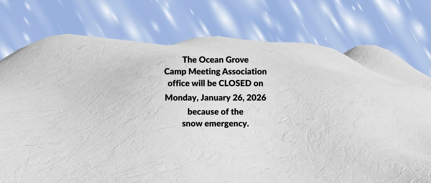 Snow Emergency for Rotator.jpg