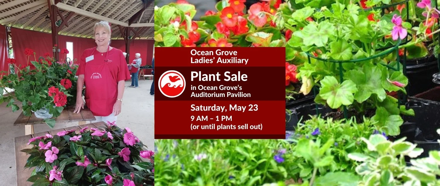 Plant Sale 2026 for rotator.jpg