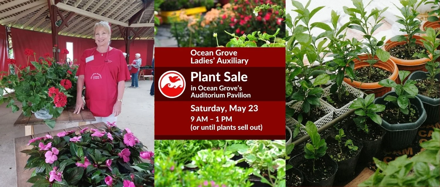 Plant Sale 2026b for rotator.jpg
