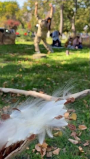 Nature, senses, spirit: Director Susanna Brock reflects on The Garden