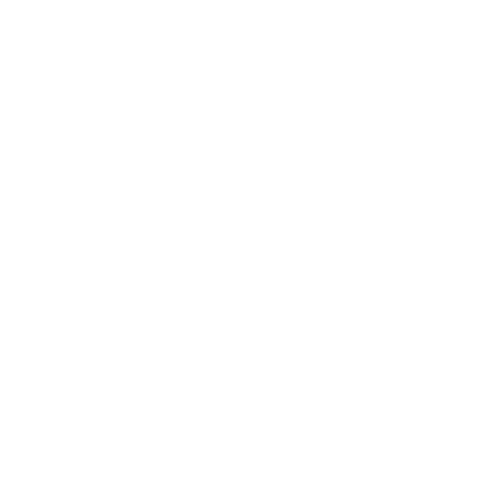 Flying Leap