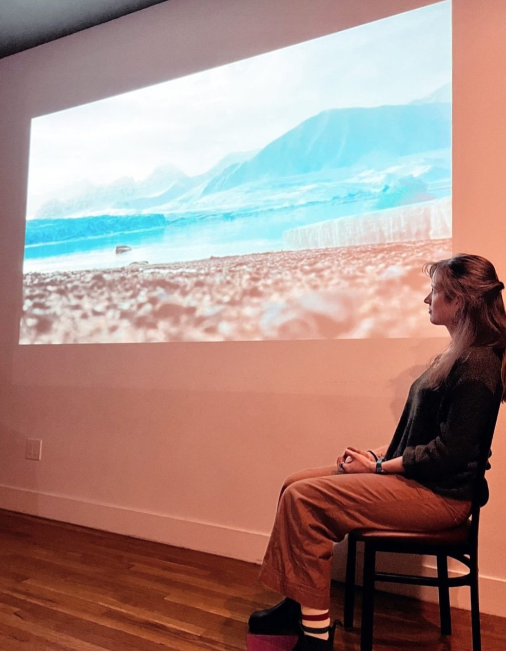 Lisa giving a presentation with a photo of the Arctic projected on the wall behind her.