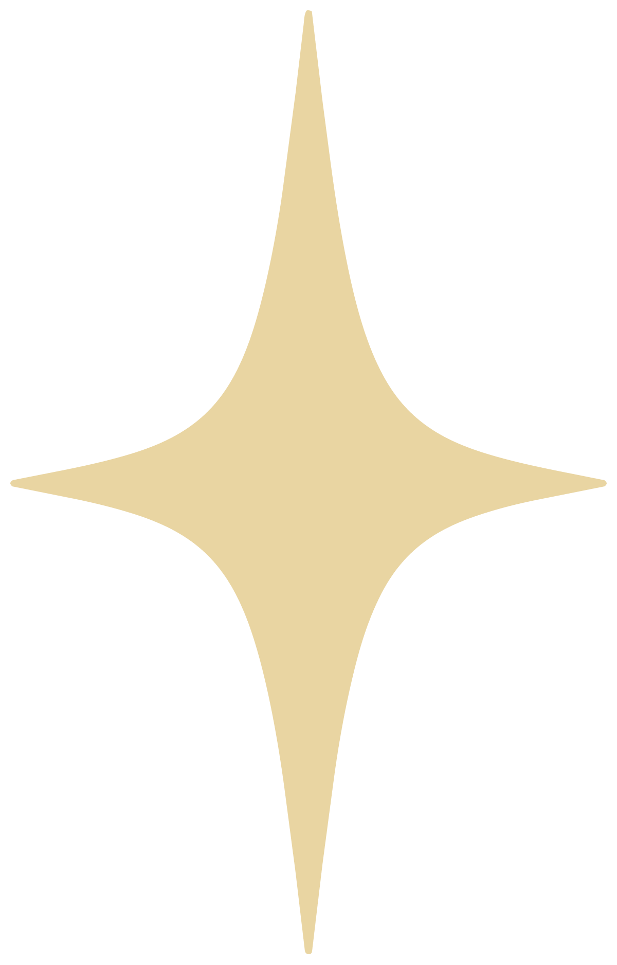 Golden four-pointed starburst shape on a black background.
