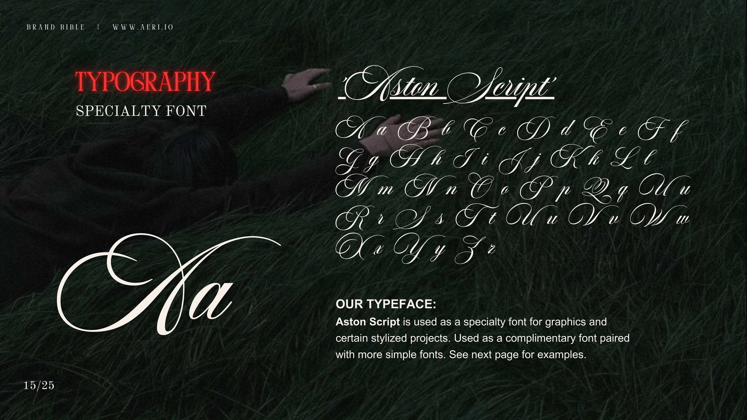 Aeri Brand Bible (V01)_Page_15.jpg