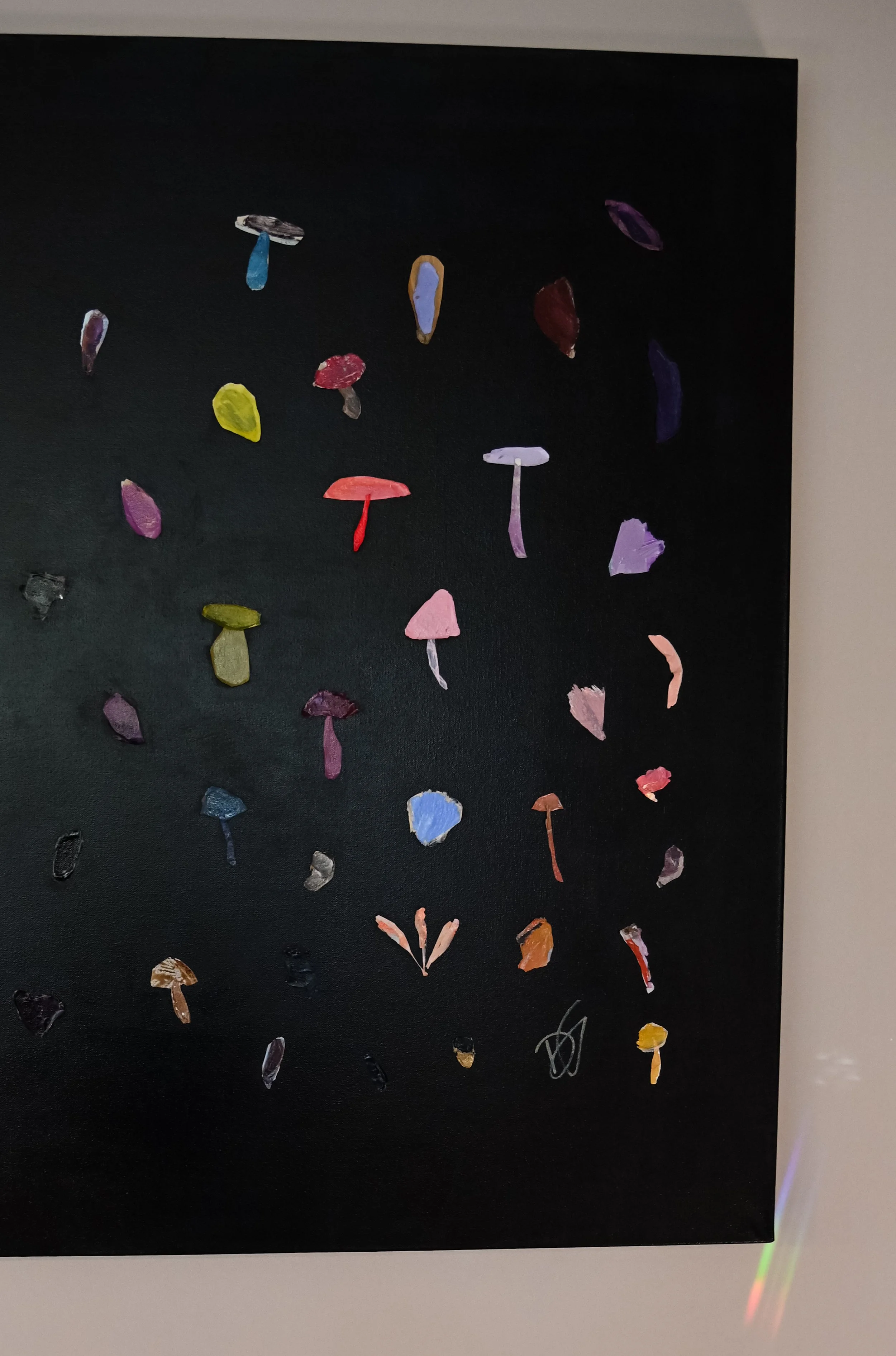 DSC_2406.jpeg