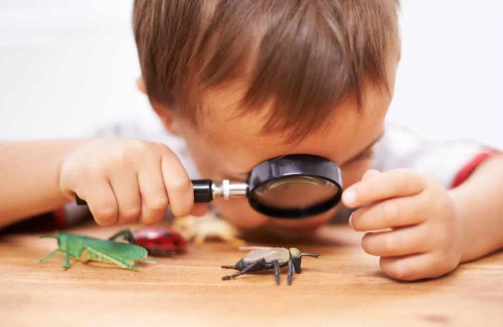 How Montessori Nurtures Curiosity in Young Children