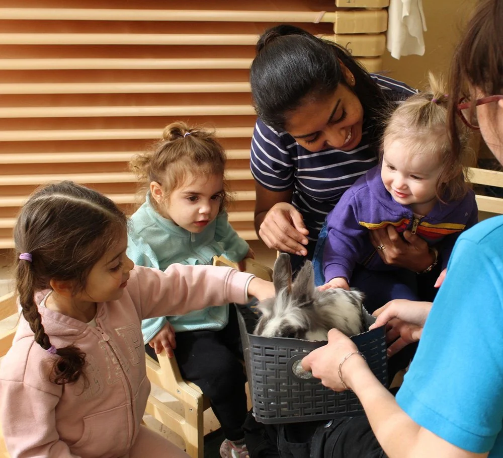 A teacher and her students surrounding a basket with a bunny in it