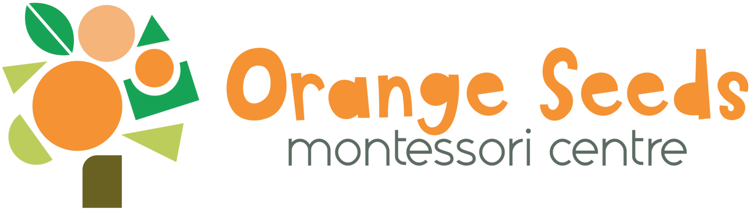 Orange Seeds Montessori Centre