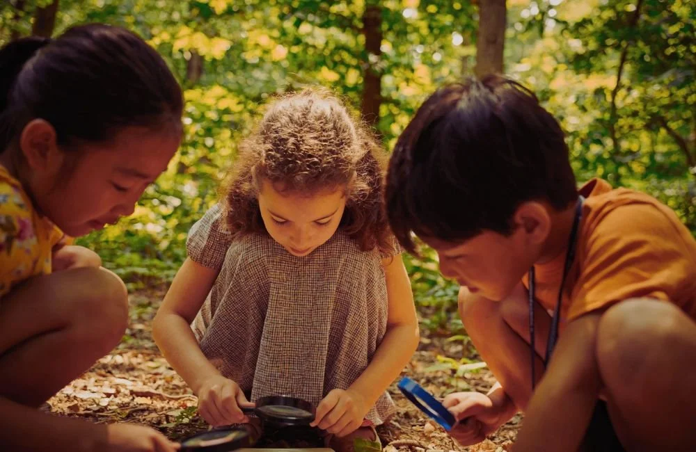 Three young kids with magnifying glasses looking closely at a book outside in the forest | Orange Seeds Montessori Centre