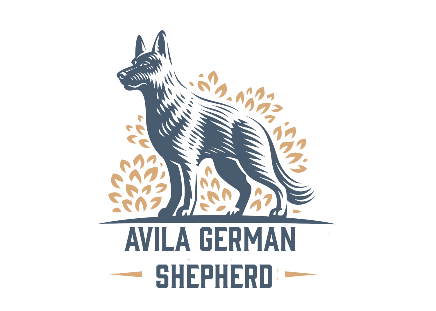 Avila German Shepherd