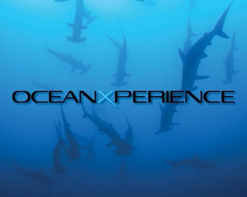 OceanXperience Cover Image
