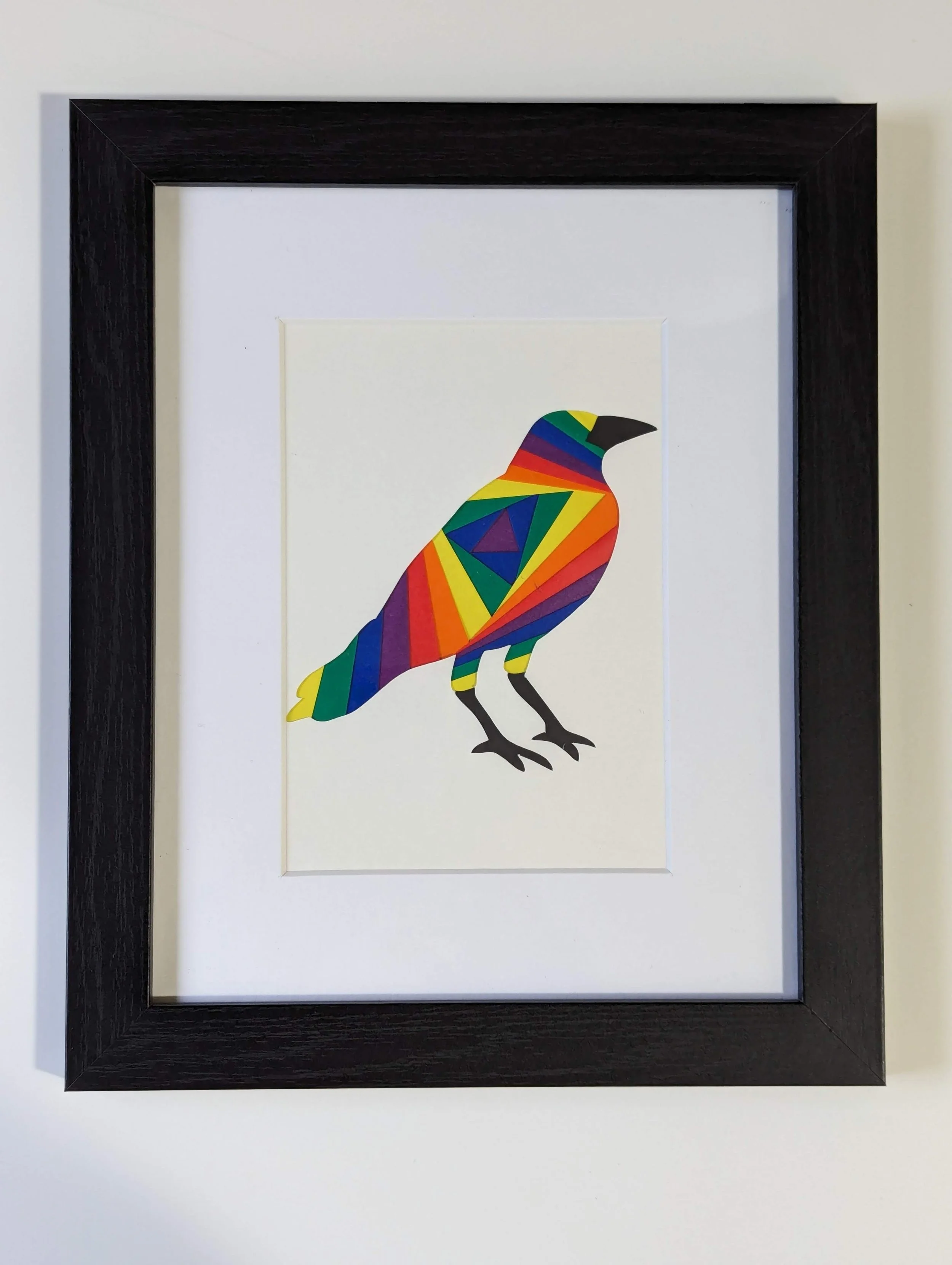 iris folded rainbow crow in frame