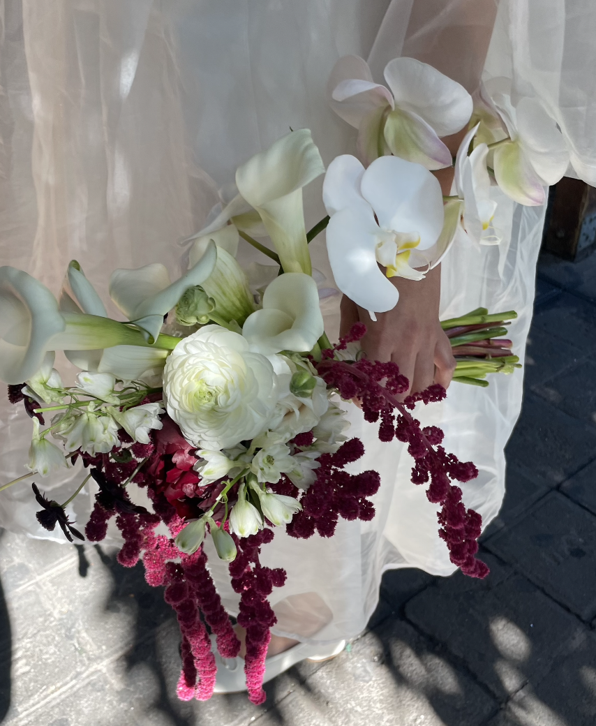 Screen Shot 2026-01-07 at 7.36.20 PM.png