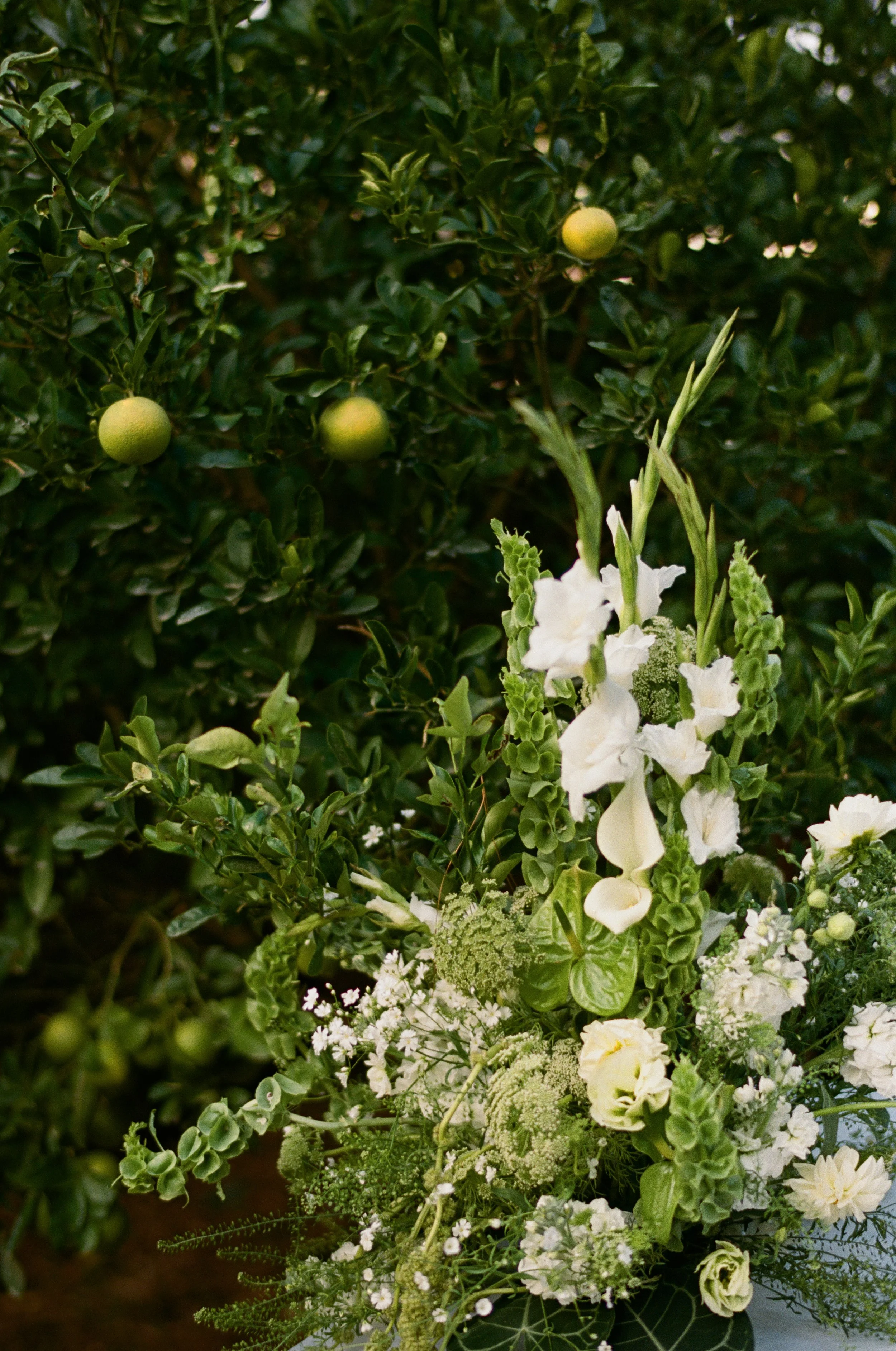 Olivia_Nick_Highland_Park_California_Wedding-613.jpg