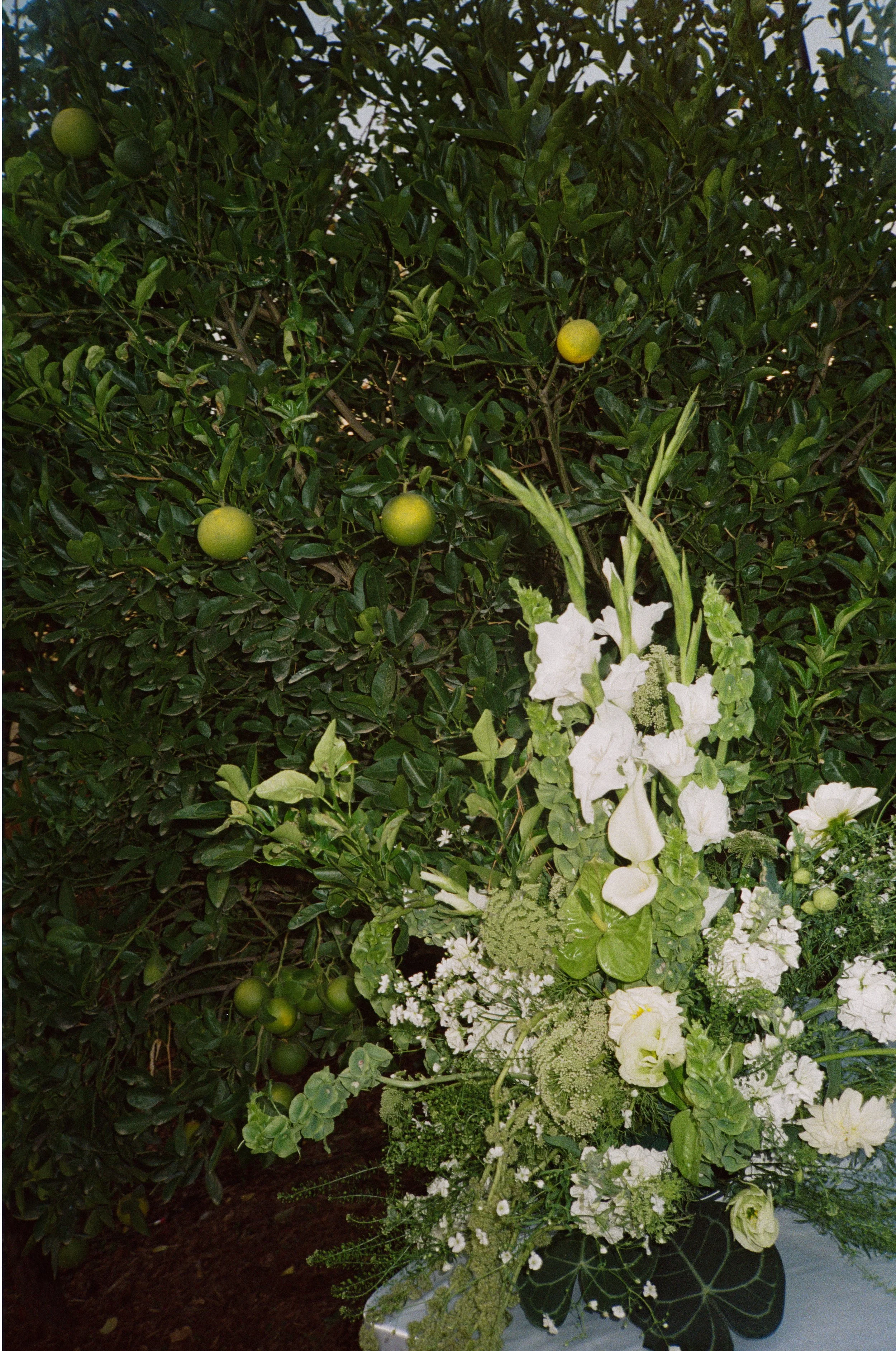 Olivia_Nick_Highland_Park_California_Wedding-569.jpg