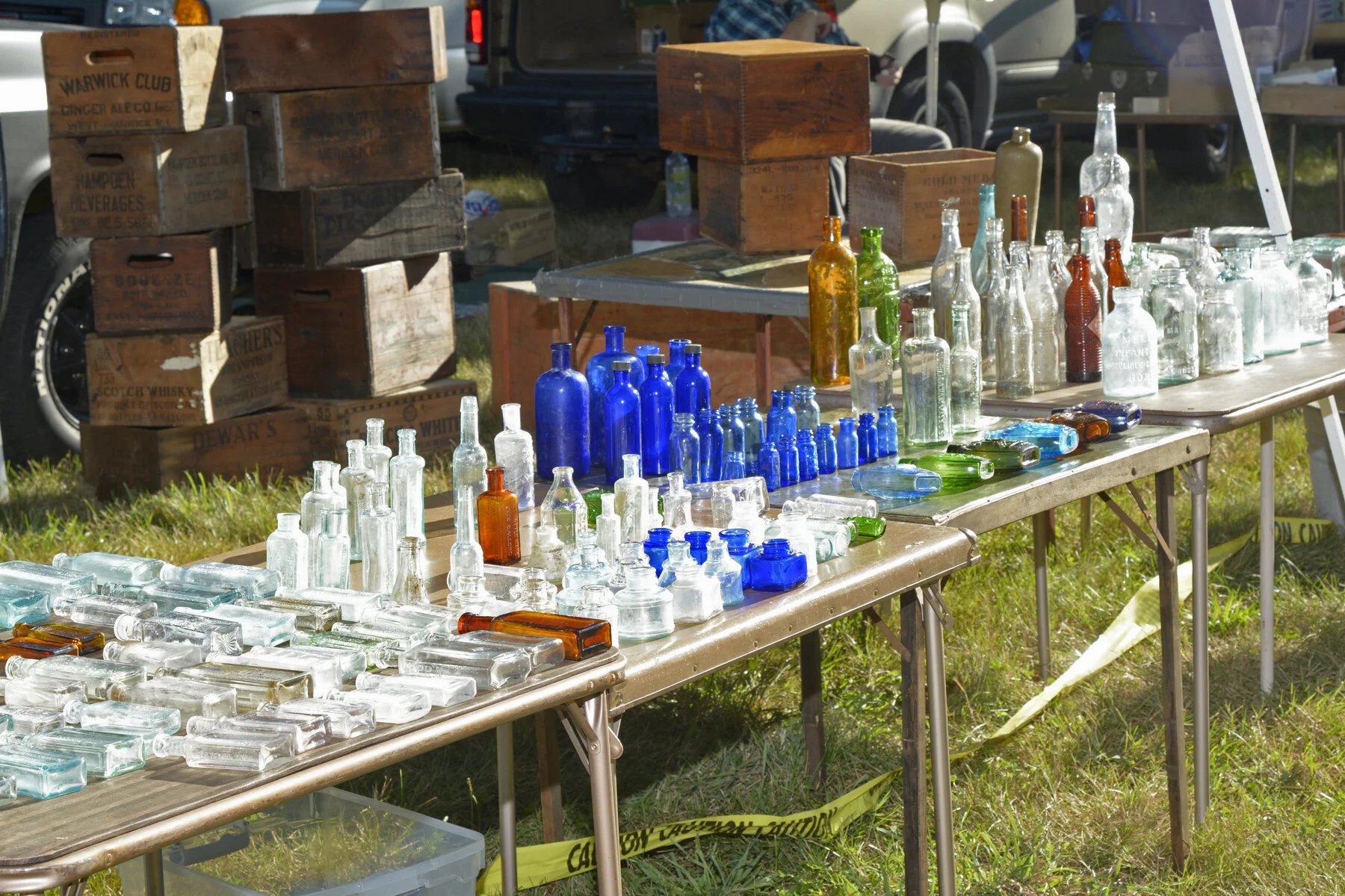 © BACC 2016 123.JPG