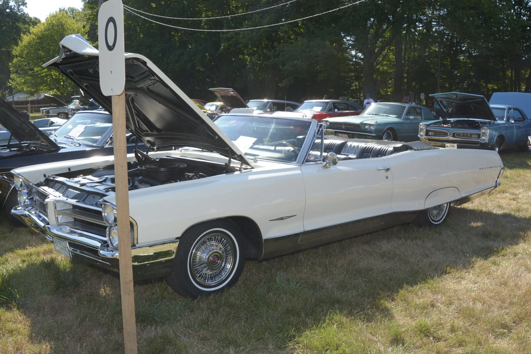 © BACC 2016 035.JPG