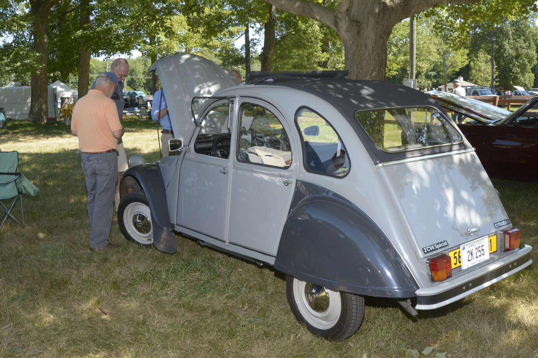 © BACC 2016 092.JPG