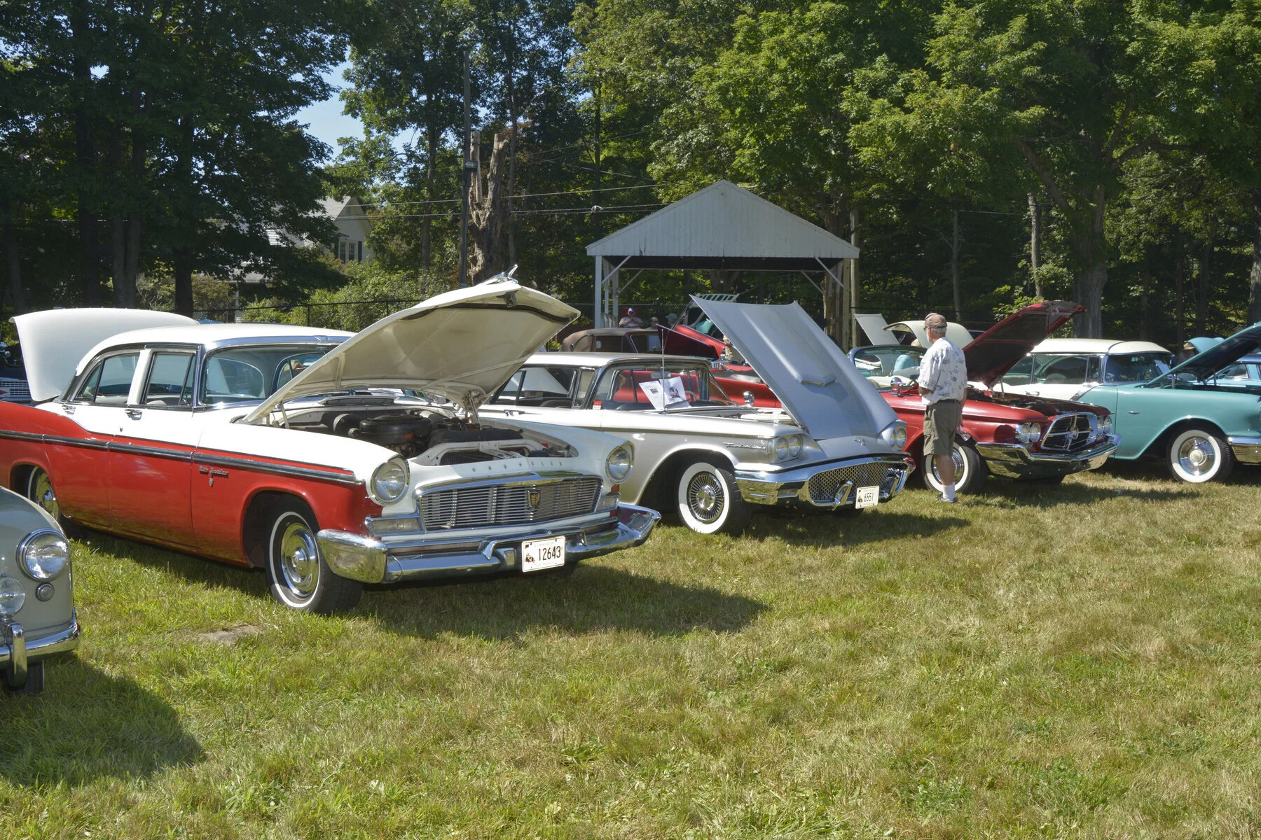 © BACC 2016 095.JPG