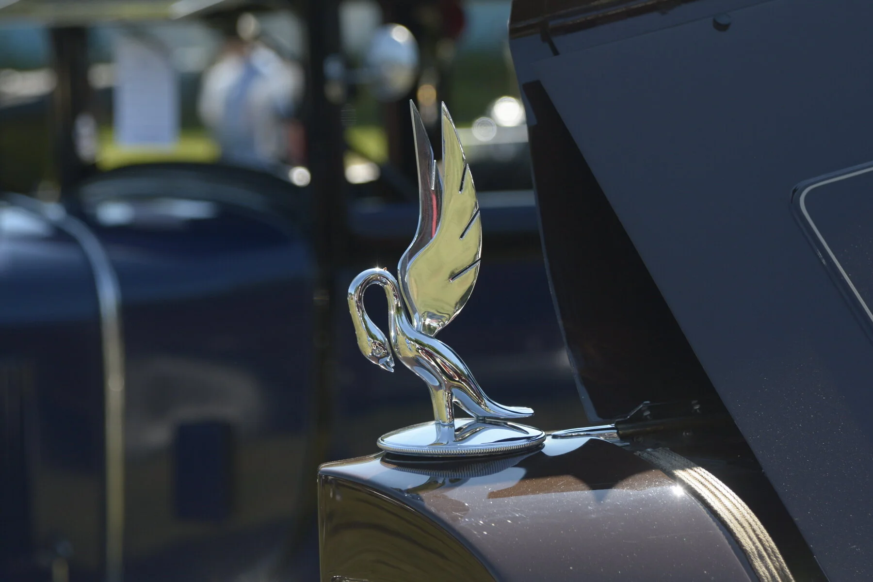 © BACC 2016 080.JPG