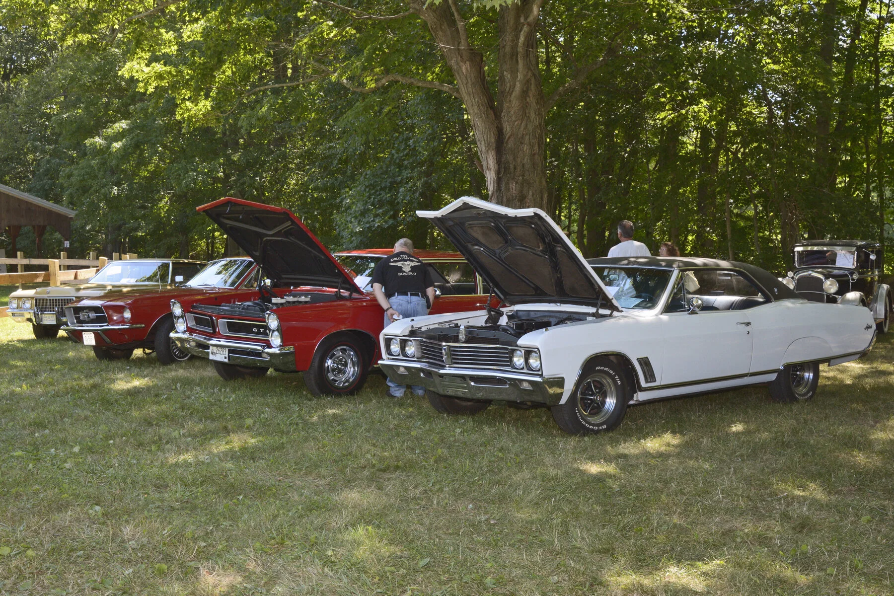 © BACC 2016 093.JPG