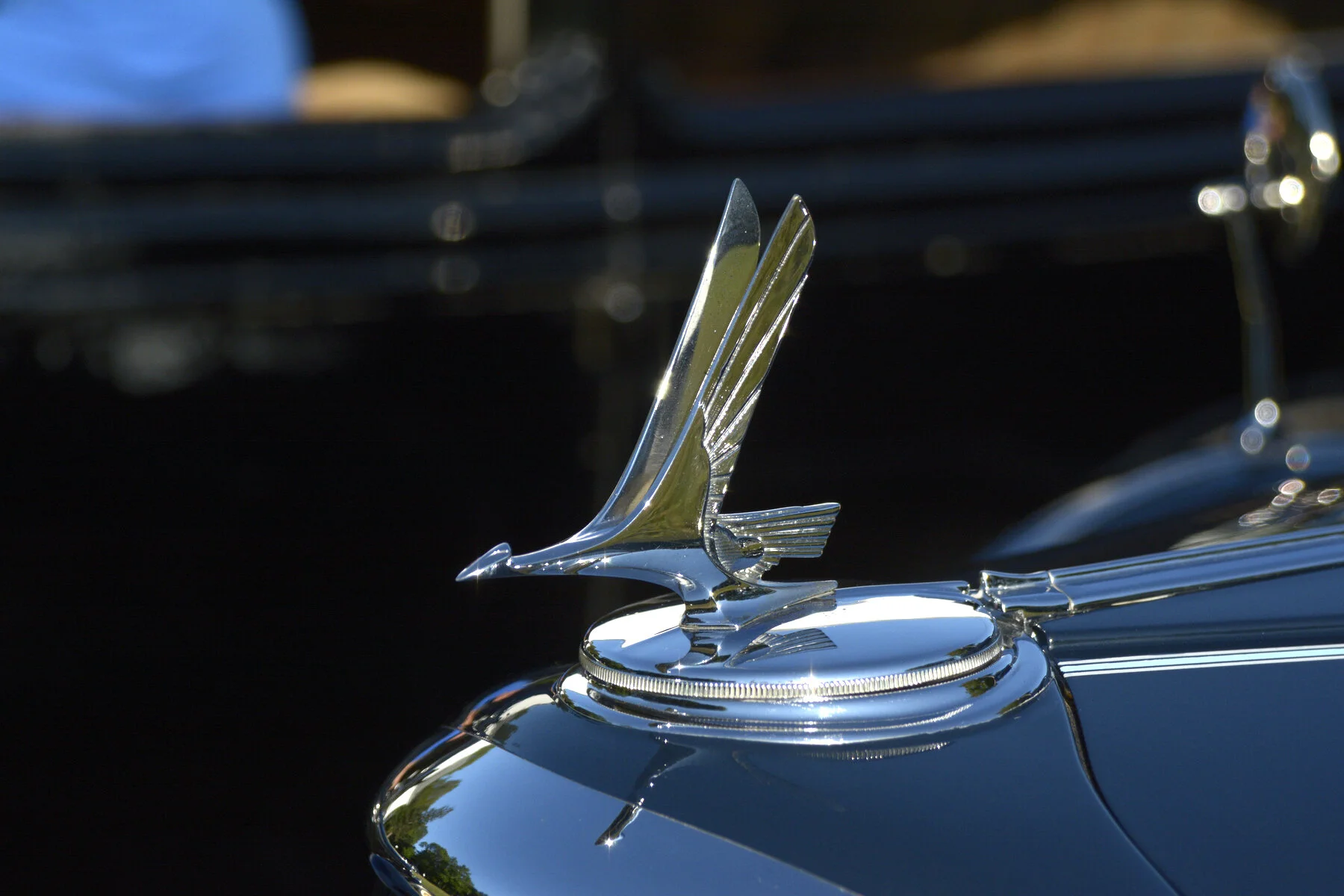 © BACC 2016 009.JPG