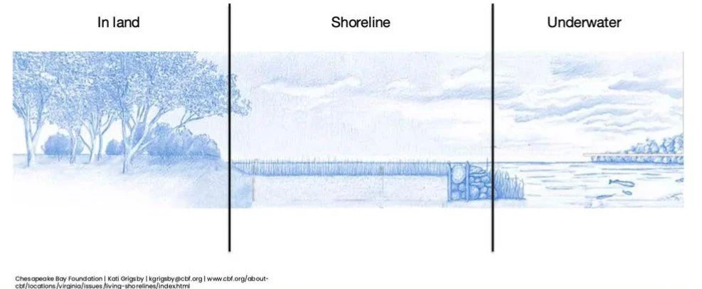 Diagram of nature-based solutions across inland, shoreline, and underwater environments.