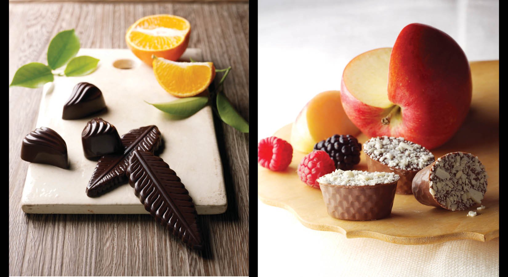 Callebaut_WebFile5.jpg