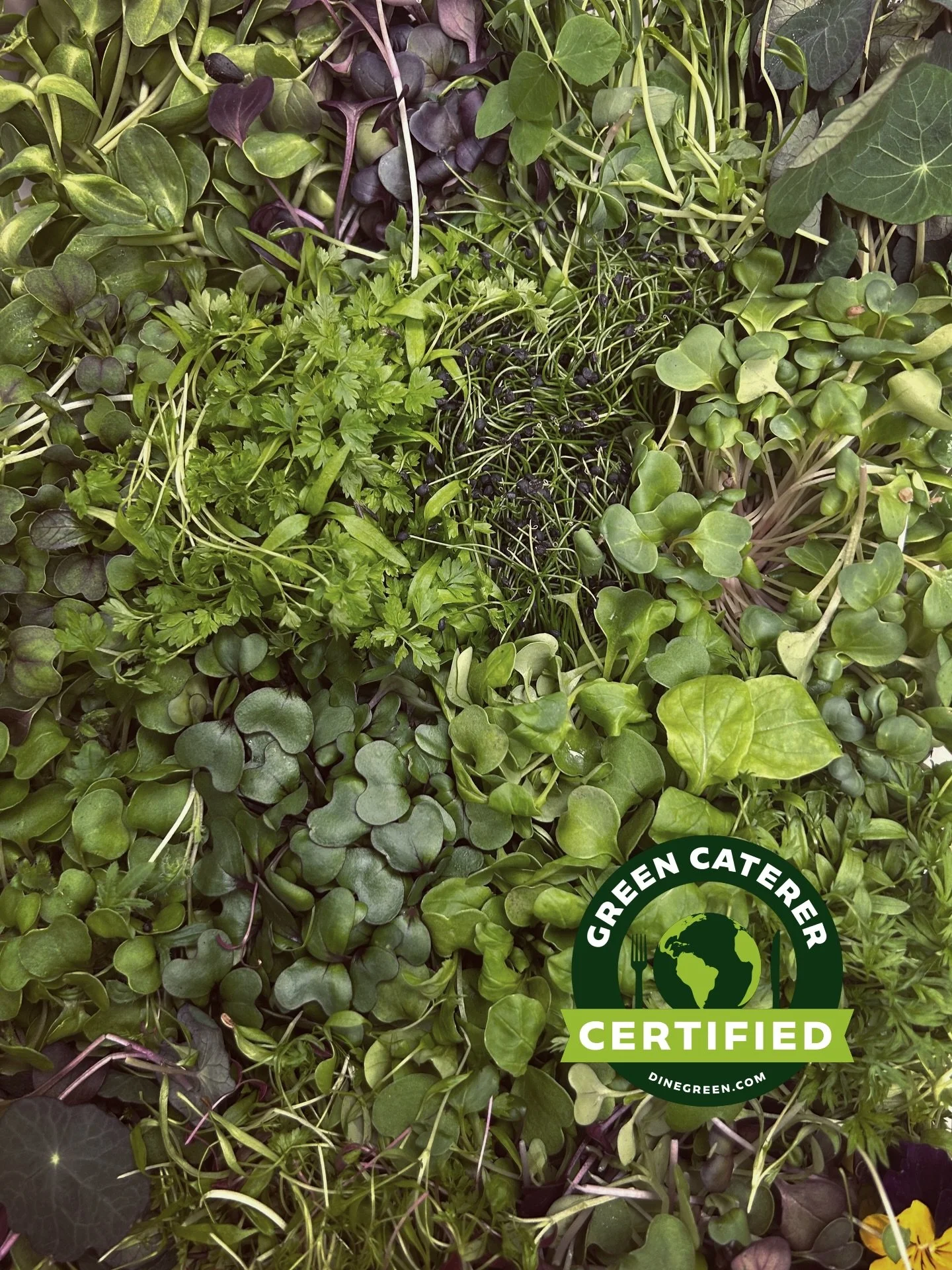 We don&rsquo;t take the title of Wisconsin&rsquo;s only Certified Green Caterer&trade; lightly. It shapes our decisions on a daily basis, including who we partner with.

We&rsquo;re excited to be working with @closedloopfarms and continue to source o