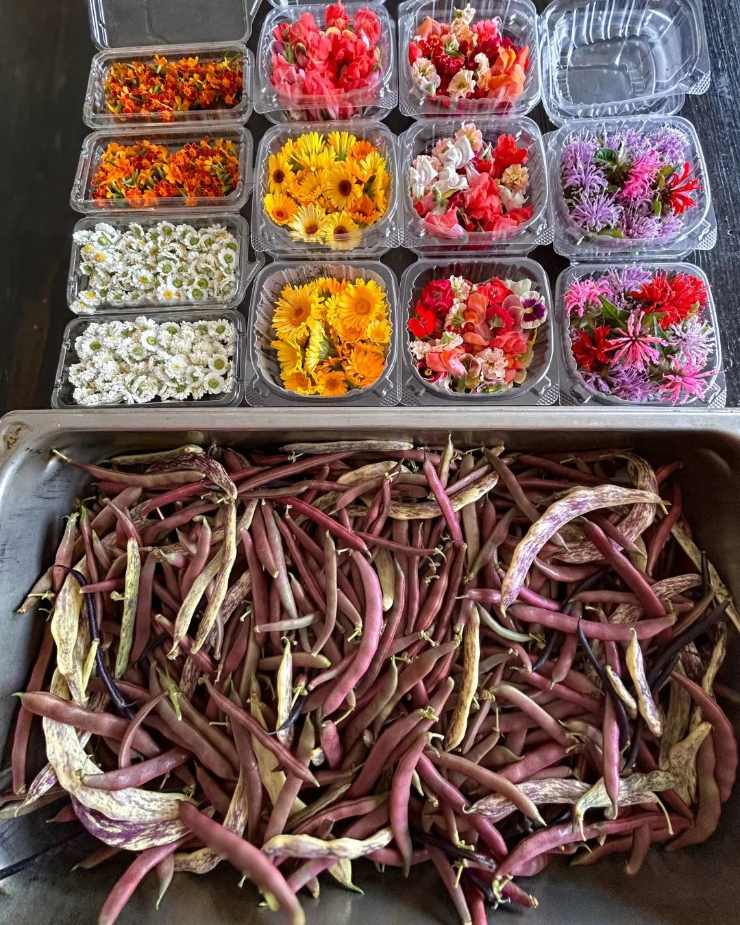 We know what you might be thinking: silly lil photo of 🫘🌸

Well, you&rsquo;re not wrong. But it&rsquo;s so much more than some red beans &amp; flowers.

It&rsquo;s who we are, at our very core. A catering company that sources locally and makes 90%+