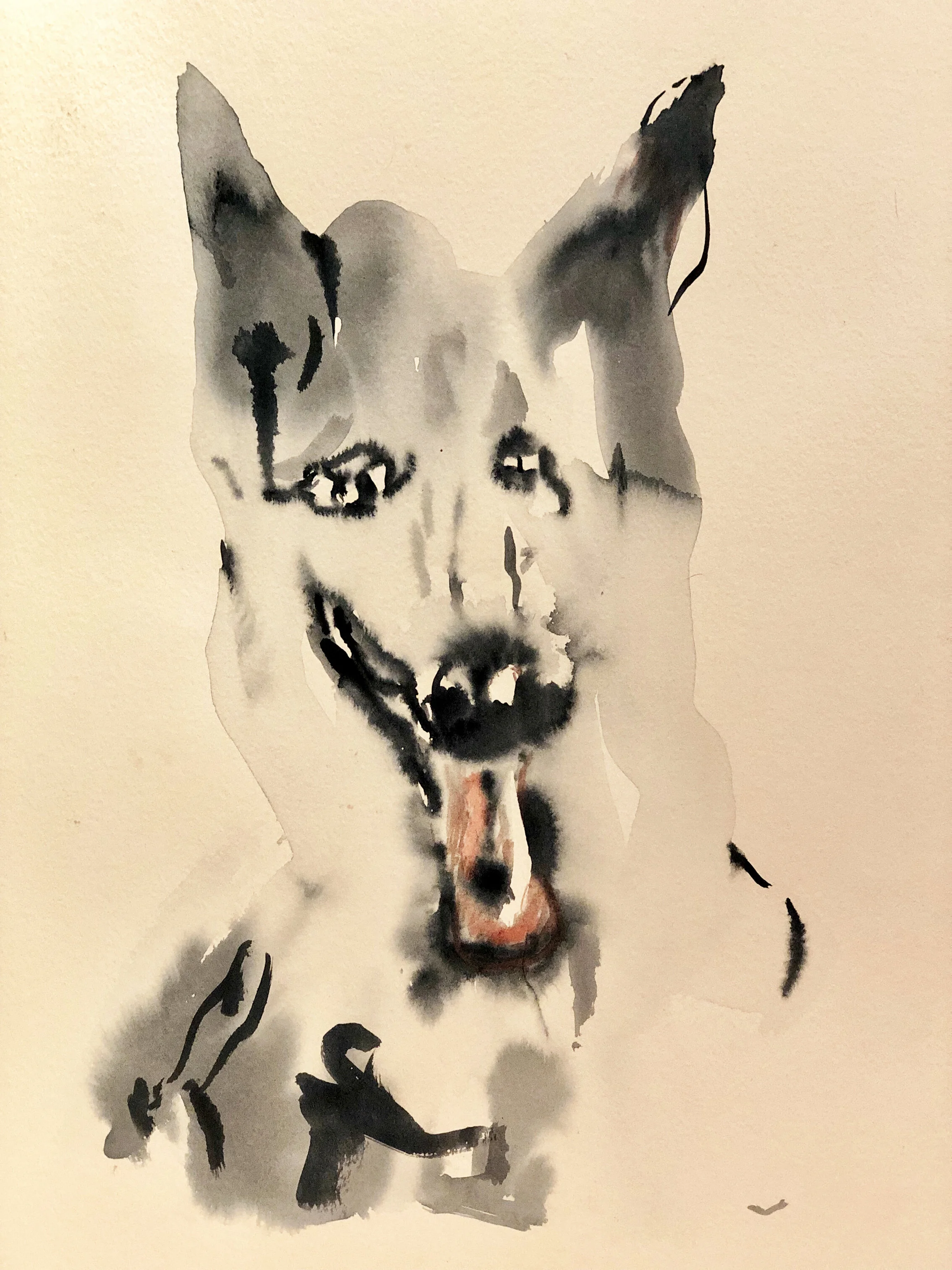 Tongue Dog .jpg