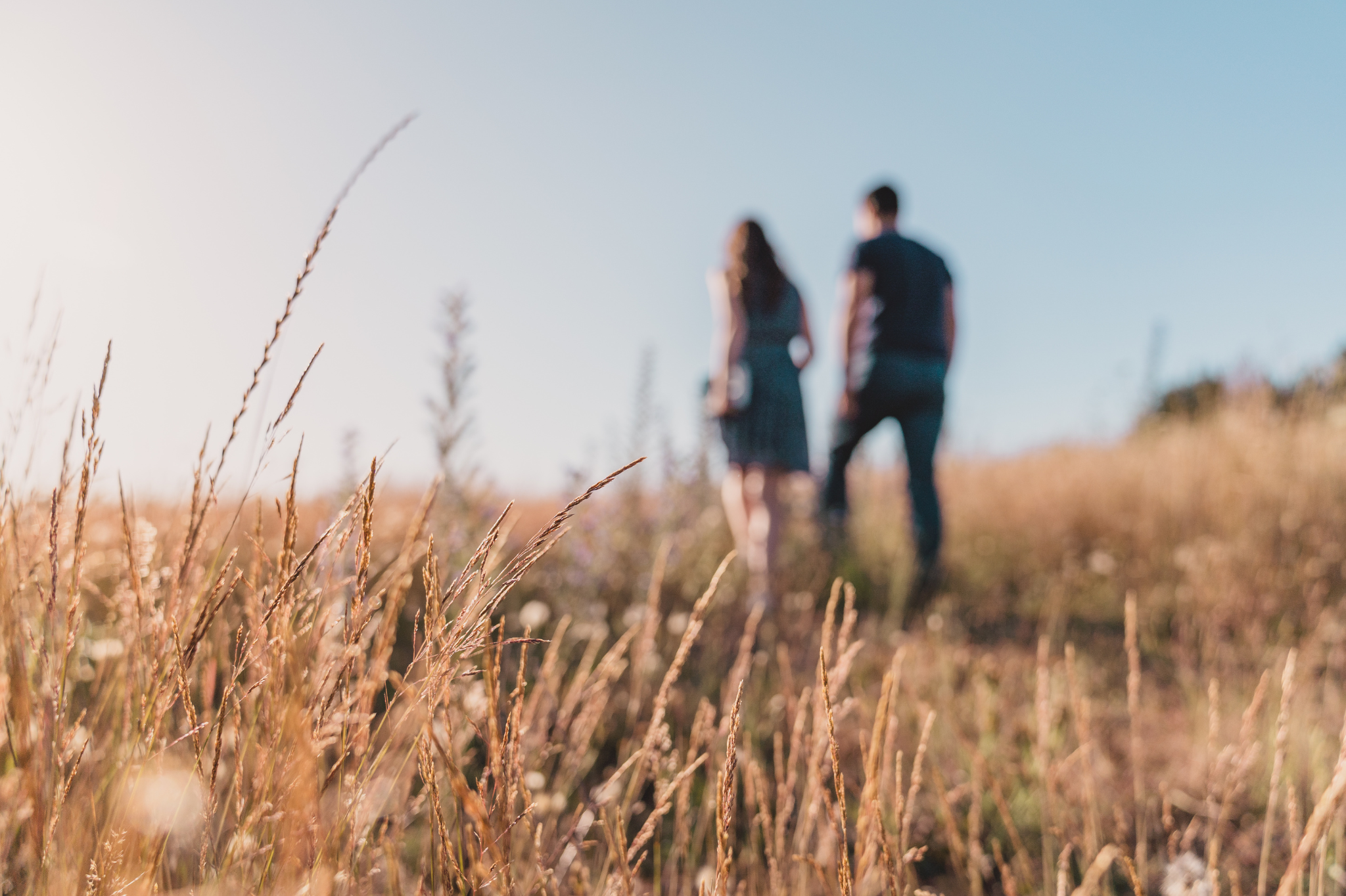 Tall golden grass in focus with a couple walking in the distance conveys serenity and connection, symbolizing therapy for relationship issues and couples therapy in Portland, Oregon, serving zip codes 97035, 97229, 97214, and 97210.