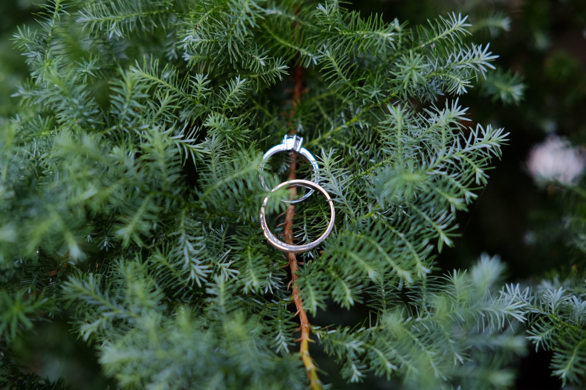 Navigating the Emotional Rollercoaster of Affair Recovery