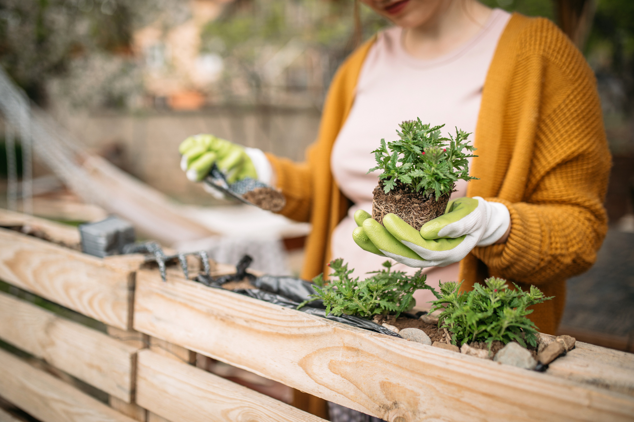 A person planting greenery in a wooden garden bed, symbolizing personal growth and healing through therapy. Find support in Seattle, WA, 98006, 98127, 98145, 98139.