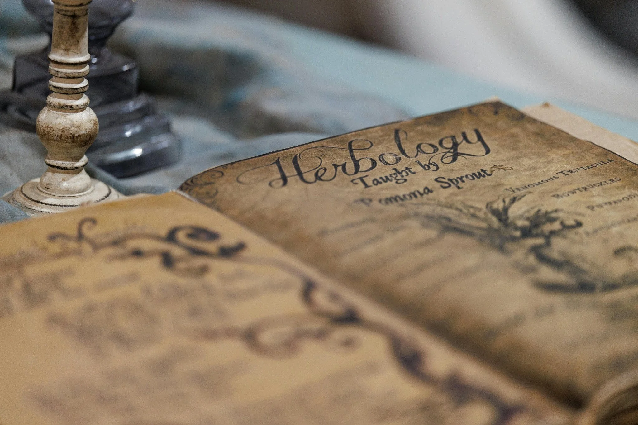 An herbology book laying open on a surface. If you struggle with workplace anxiety every day, a therapist in Seattle, WA can help. Find coping strategies today with Spark Relational Counseling.