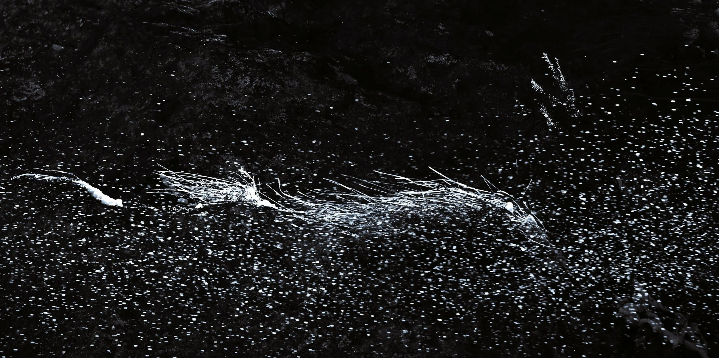 SPIEL MIT LICHT UND SCHNEE