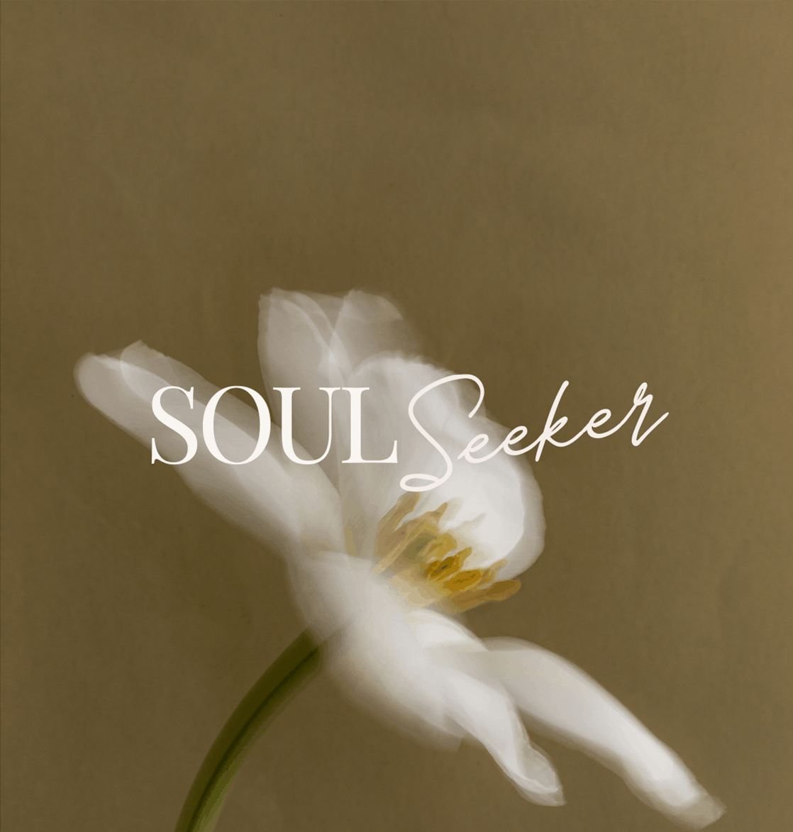Soul Seeker Intuitive Training by Nikki Novo