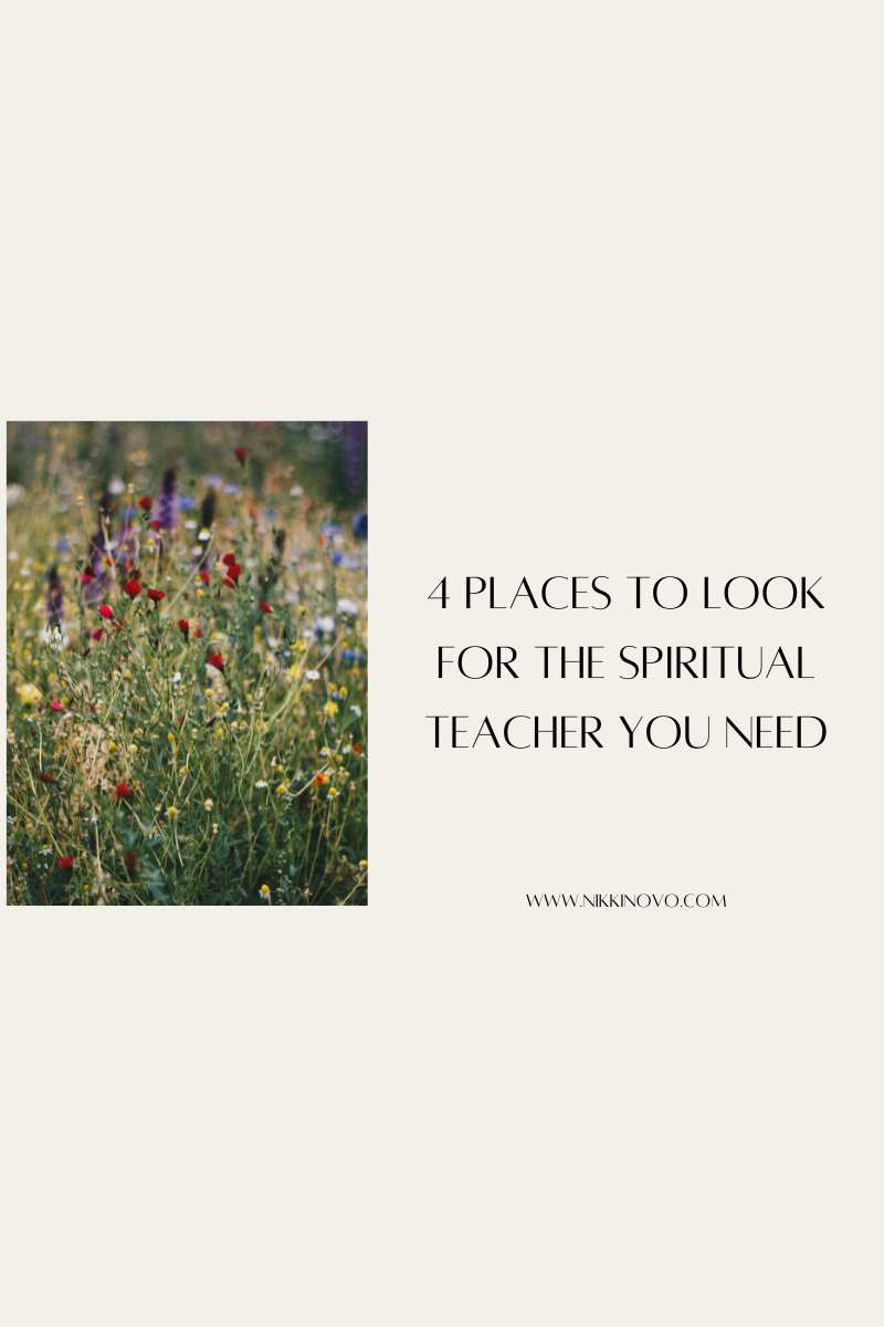 4 Places to Look for the Spiritual Teacher You Need