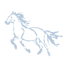 blue horse illustration