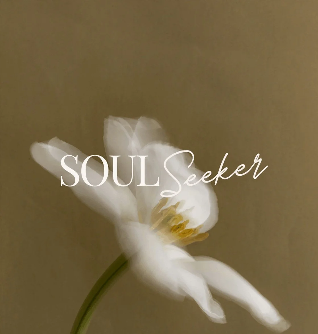 Soul Seeker Intuitive Training by Nikki Novo