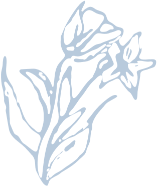 spiritual mentor nikki novo blue flower