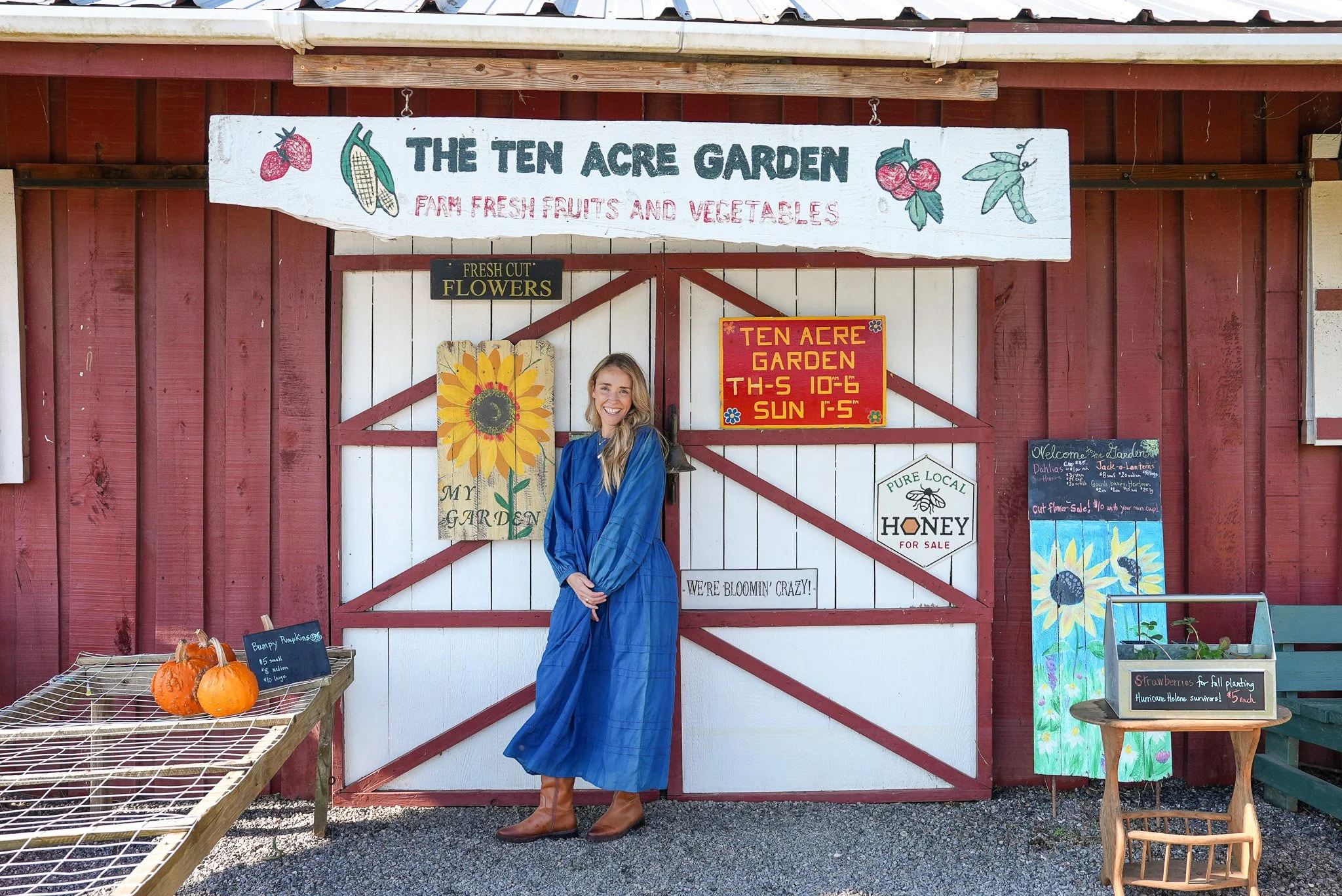 nikki novo intuition development