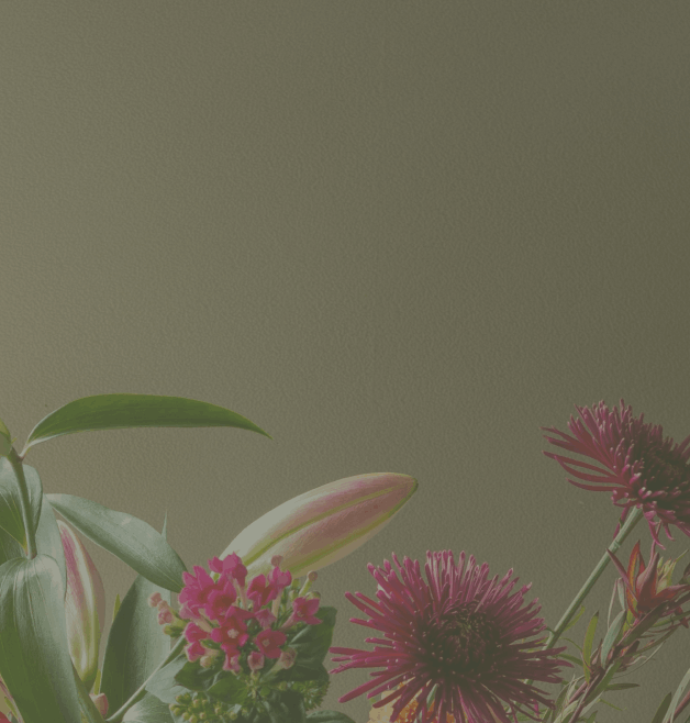 Soul Seeker Intuitive Training by Nikki Novo